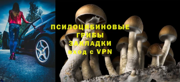 не бодяженный Горнозаводск