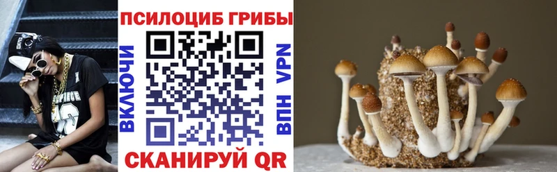 Купить закладки  Новохопёрск  Галлюциногенные грибы Psilocybine cubensis 